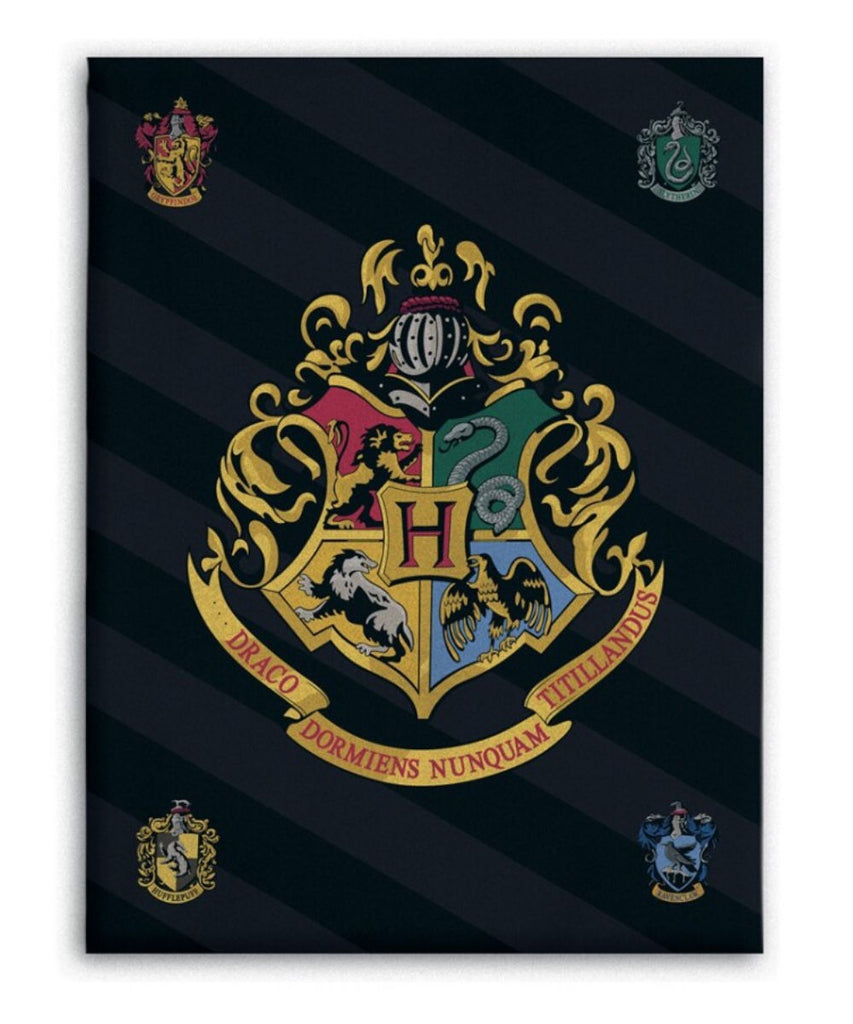 Harry Potter Boys Fleece Blanket Throw Hogwarts - Fabrica Fantasia