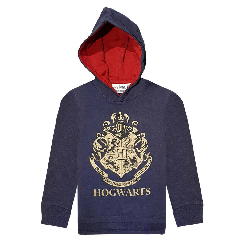 Harry Potter Kids Hoodie Sweatshirt Hogwarts - Fabrica Fantasia