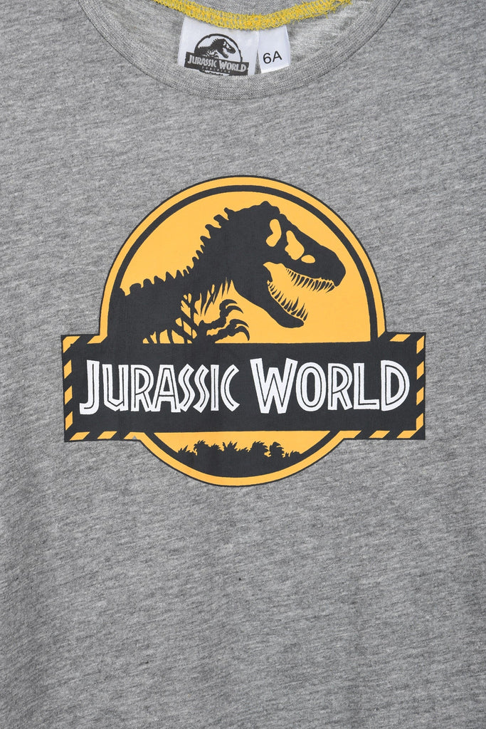 Jurassic World Kids T-Shirt Long Sleeve Top - Fabrica Fantasia